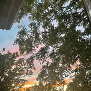 Every Rose has it’s thorn 💕